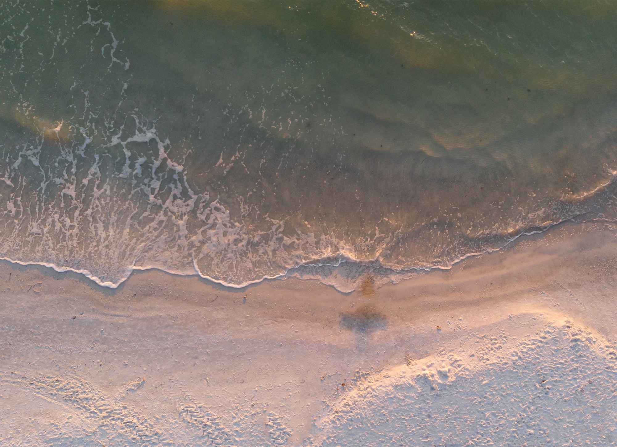 beach background